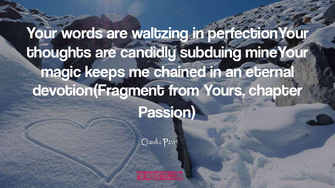 Perfection quotes by Claudia Pavel