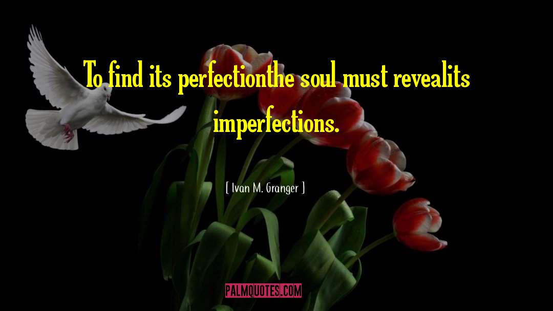 Perfection Seeking quotes by Ivan M. Granger