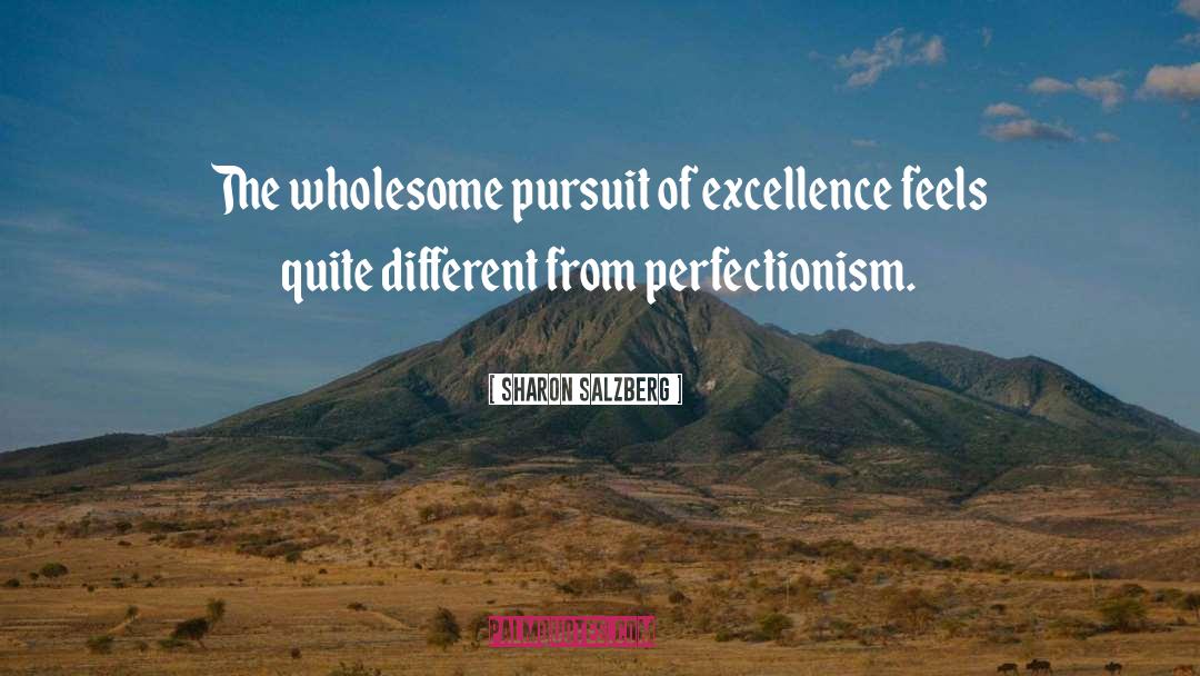 Perfectionism quotes by Sharon Salzberg