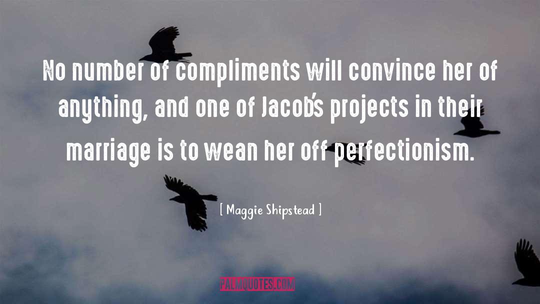 Perfectionism quotes by Maggie Shipstead