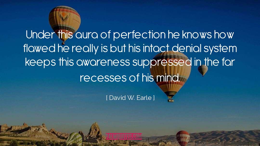 Perfectionism quotes by David W. Earle