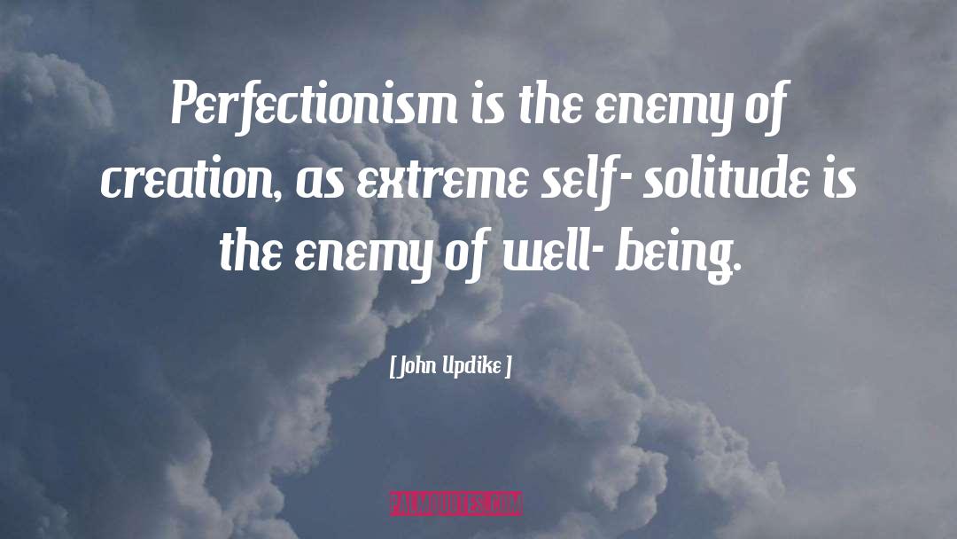 Perfectionism quotes by John Updike