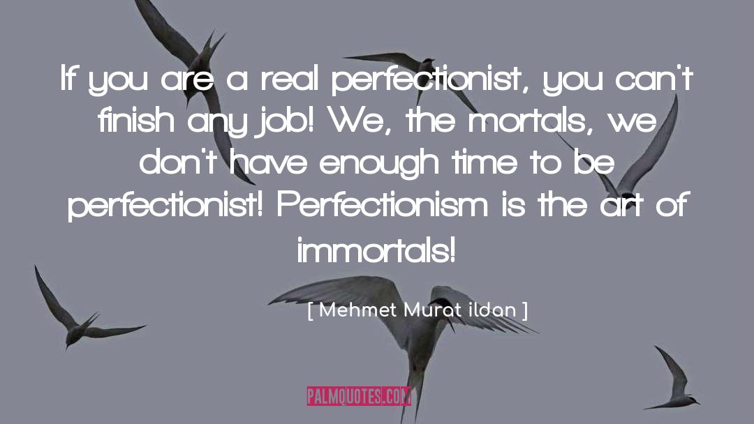 Perfectionism quotes by Mehmet Murat Ildan
