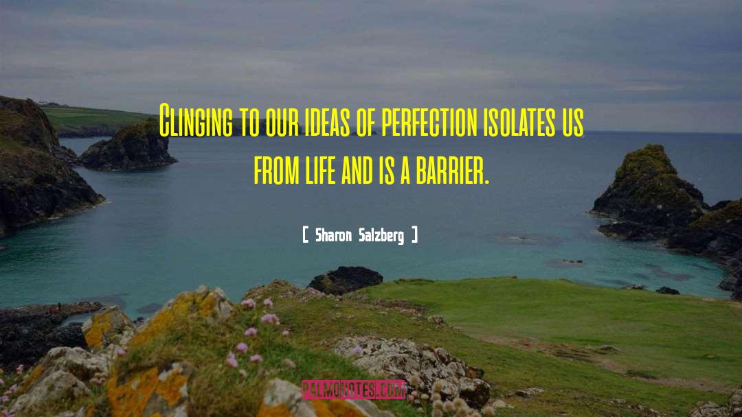 Perfectionism quotes by Sharon Salzberg