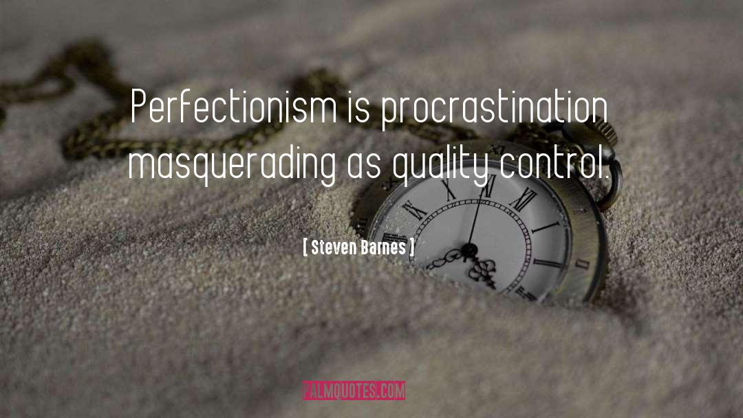 Perfectionism quotes by Steven Barnes
