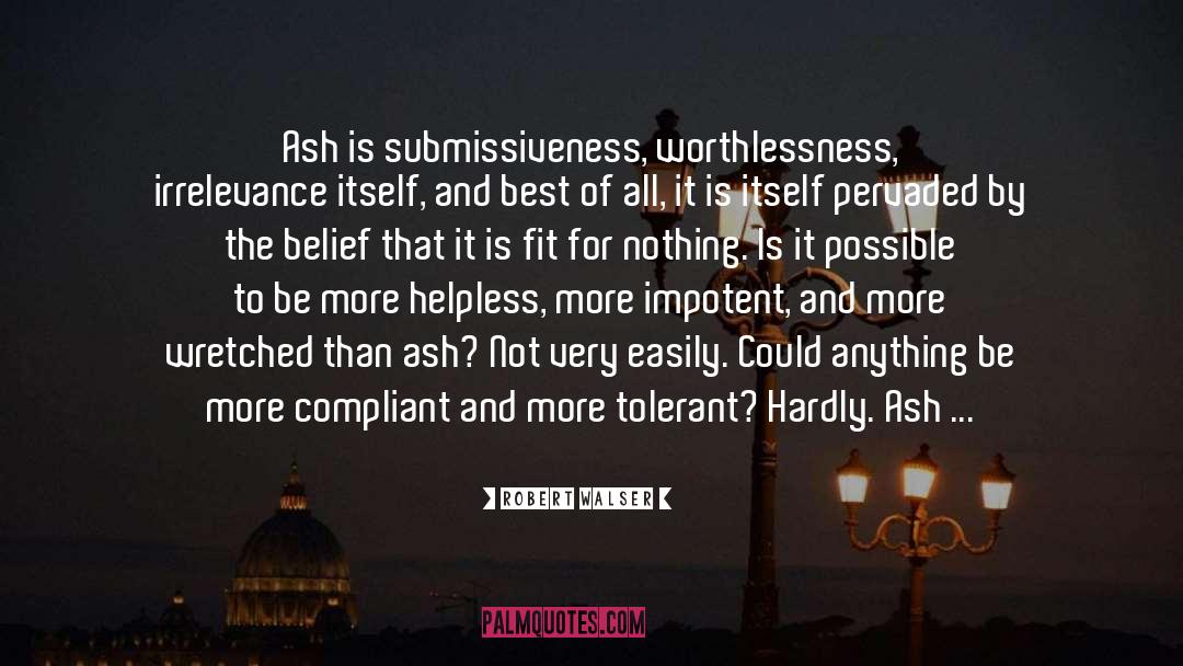 Perfectionism Worthlessness quotes by Robert Walser