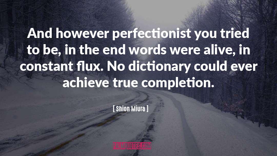 Perfectionist quotes by Shion Miura