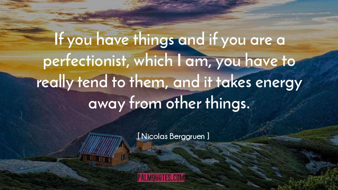 Perfectionist quotes by Nicolas Berggruen