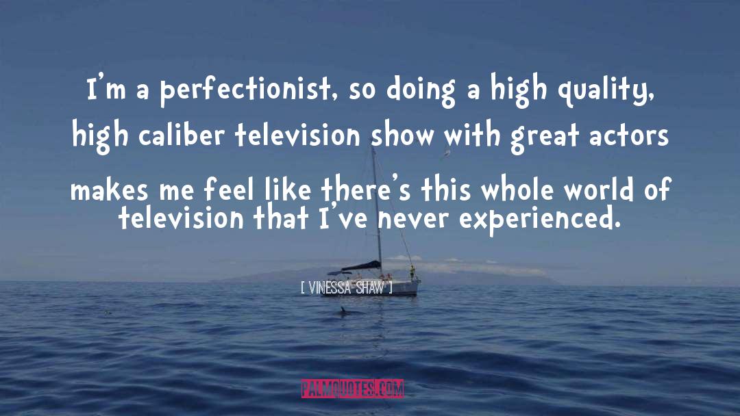 Perfectionist quotes by Vinessa Shaw
