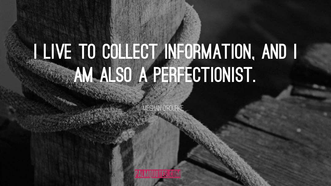 Perfectionist quotes by Meghan O'Rourke