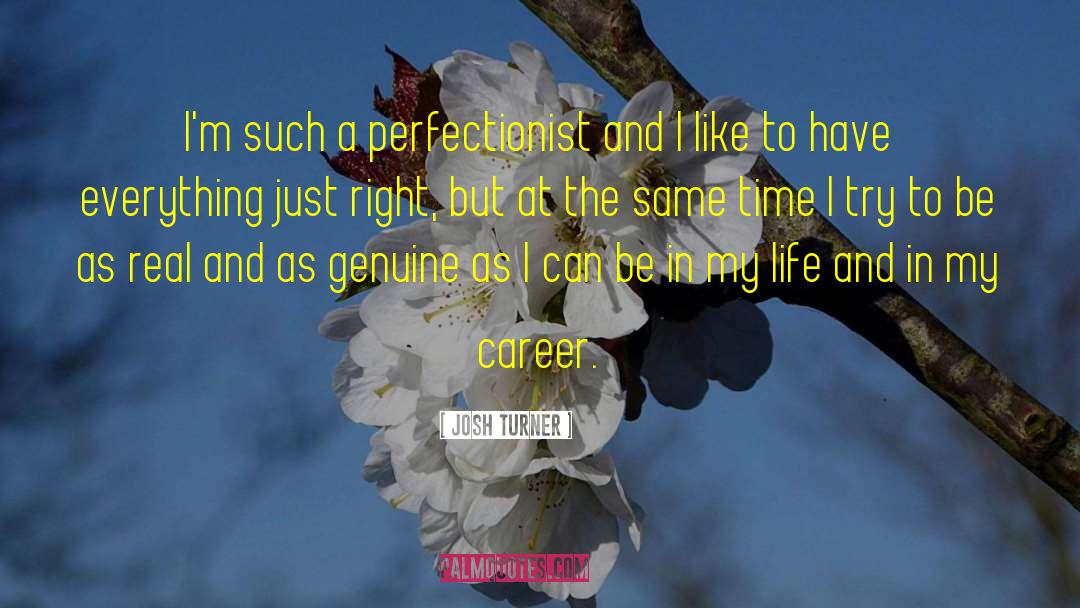 Perfectionist quotes by Josh Turner
