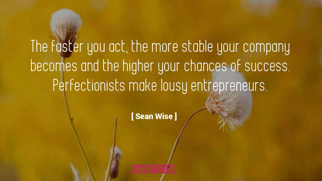 Perfectionists quotes by Sean Wise