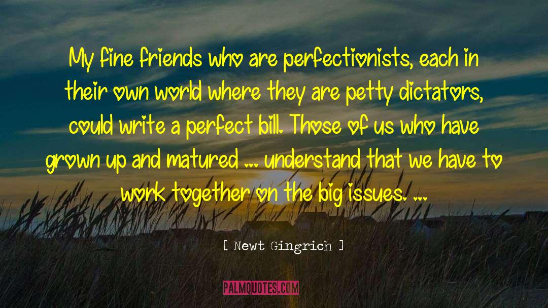 Perfectionists quotes by Newt Gingrich