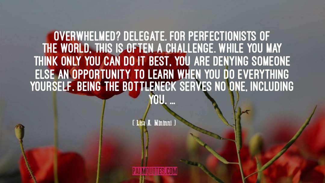 Perfectionists quotes by Lisa A. Mininni