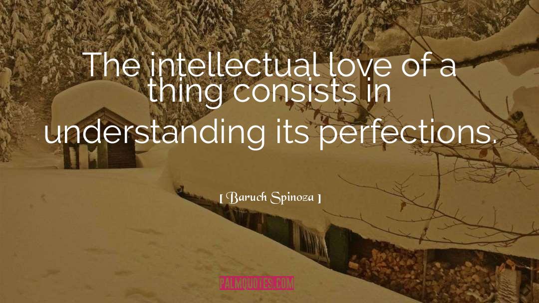Perfections quotes by Baruch Spinoza
