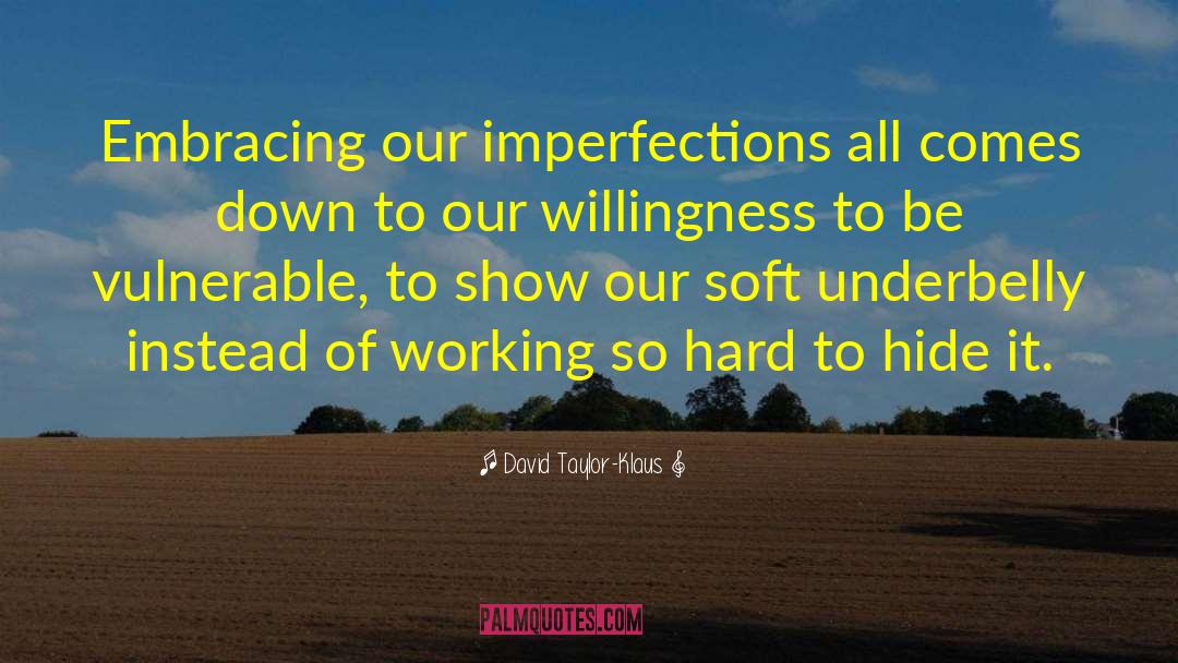 Perfectly Imperfect quotes by David Taylor-Klaus