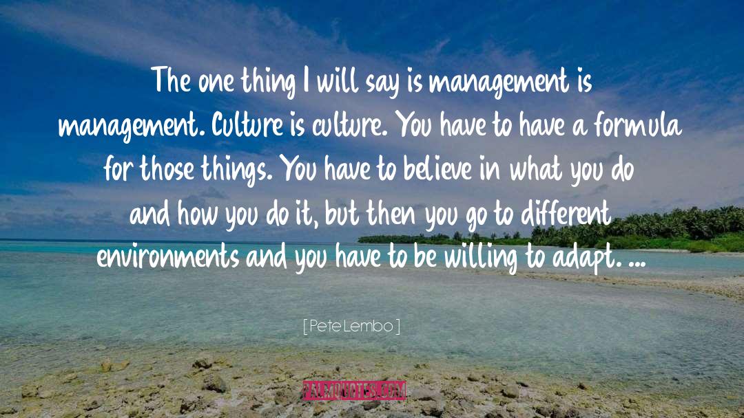 Performance Management quotes by Pete Lembo