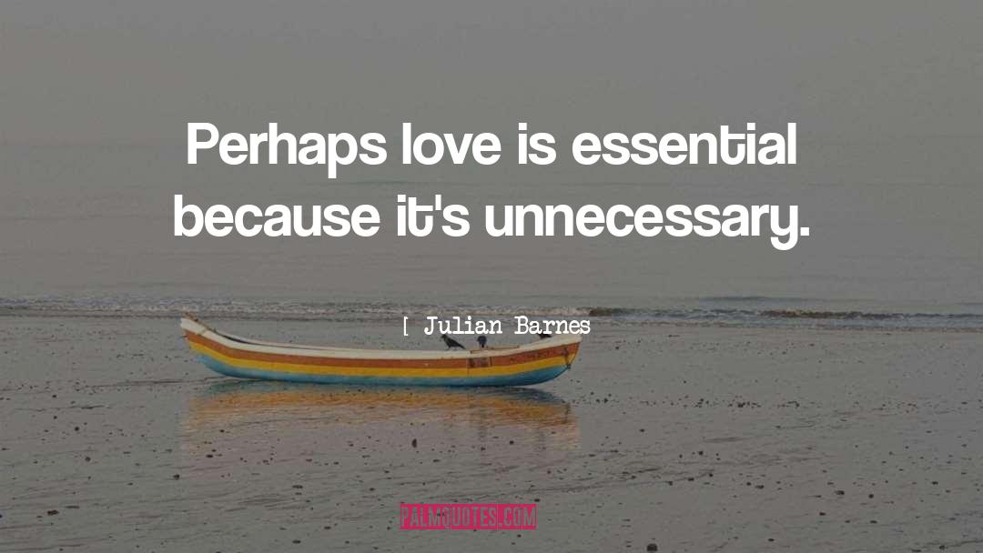 Perhaps Love quotes by Julian Barnes