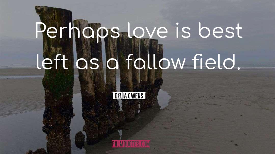 Perhaps Love quotes by Delia Owens