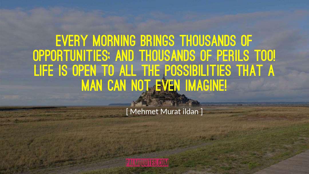 Perils quotes by Mehmet Murat Ildan