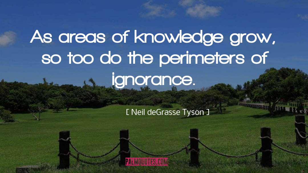 Perimeter quotes by Neil DeGrasse Tyson