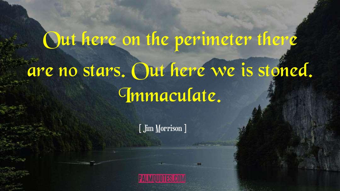 Perimeter quotes by Jim Morrison