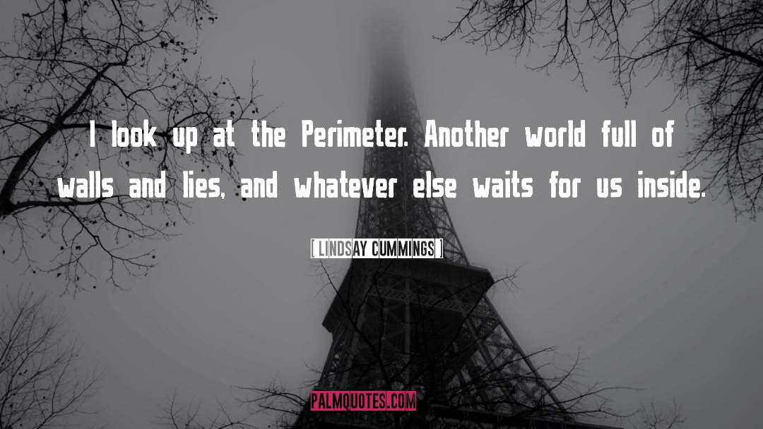 Perimeter quotes by Lindsay Cummings