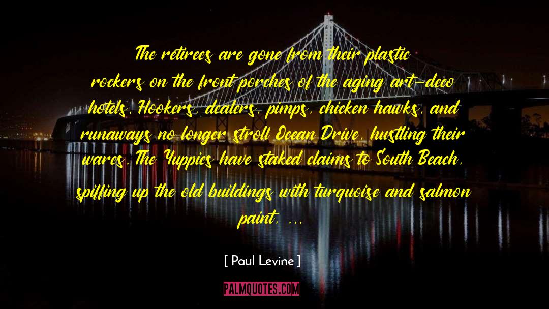 Perimeter quotes by Paul Levine