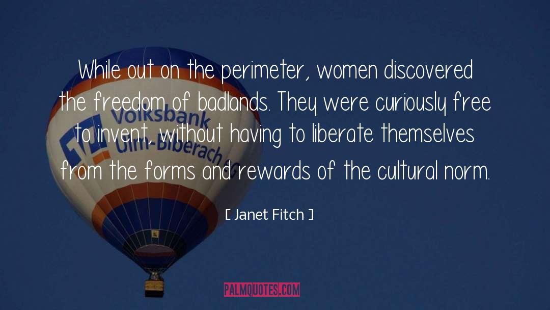 Perimeter quotes by Janet Fitch