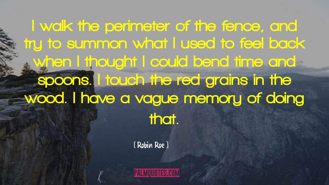 Perimeter quotes by Robin Roe
