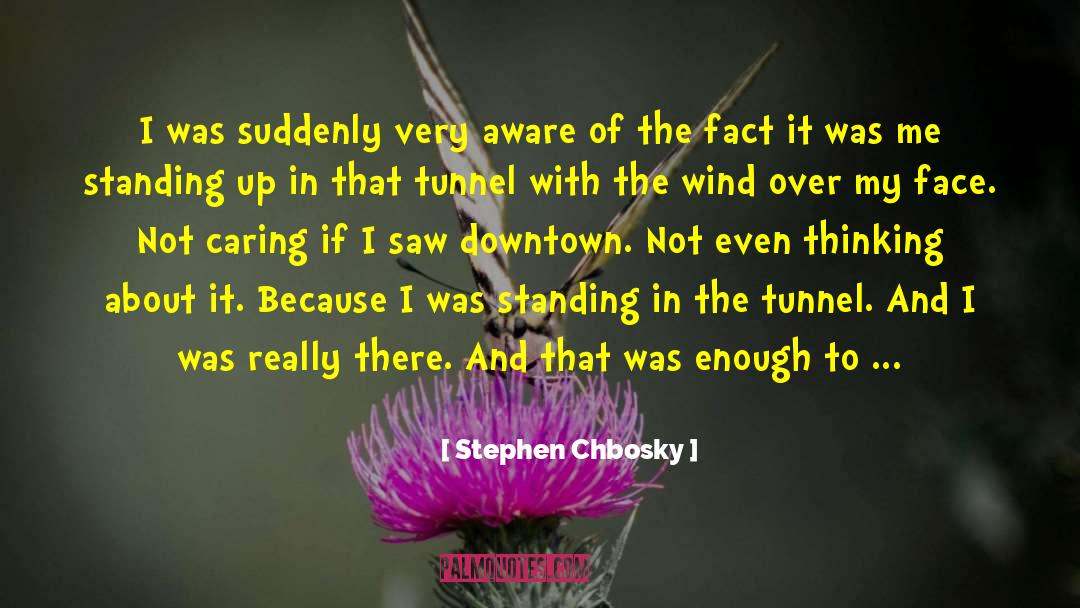 Perks Of Being A Wallflower quotes by Stephen Chbosky