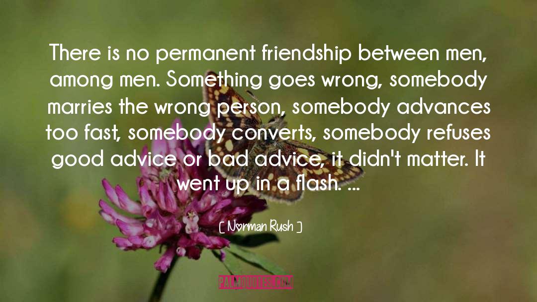 Permanent Friendship quotes by Norman Rush