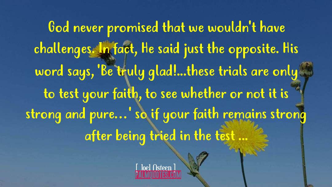Permanganate Test quotes by Joel Osteen