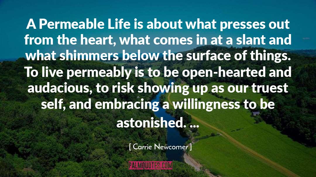 Permeable quotes by Carrie Newcomer