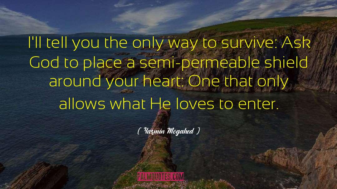 Permeable quotes by Yasmin Mogahed