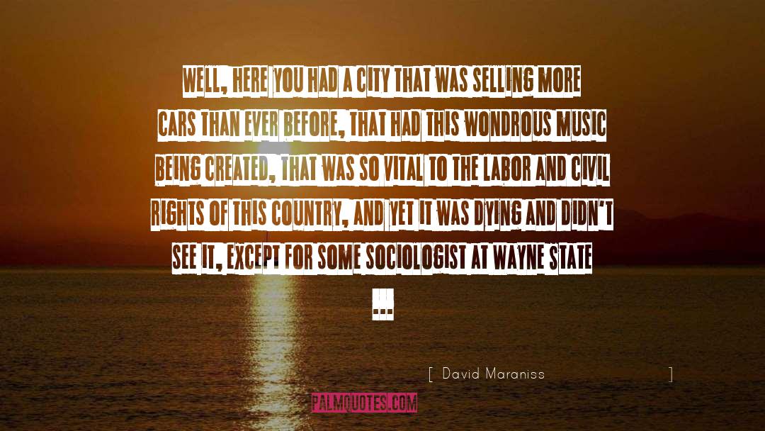 Permutation City quotes by David Maraniss