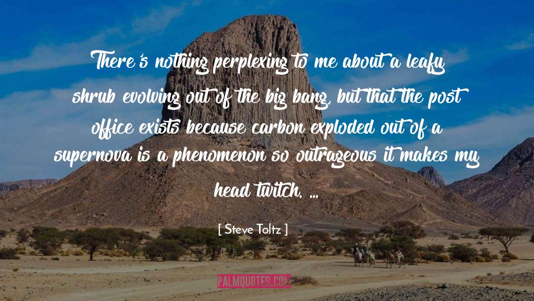 Perplexing quotes by Steve Toltz