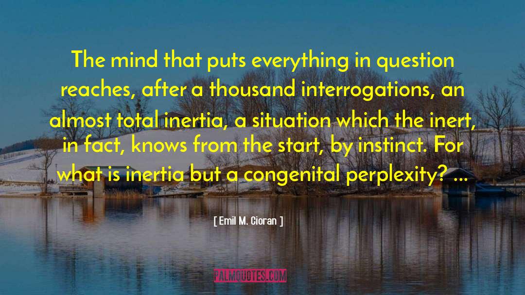 Perplexity quotes by Emil M. Cioran