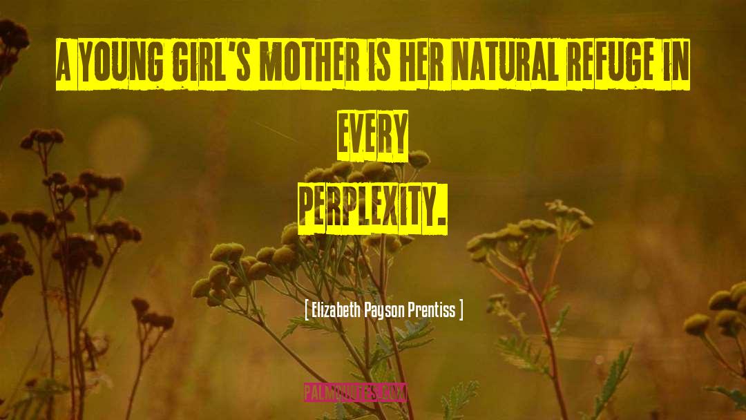Perplexity quotes by Elizabeth Payson Prentiss
