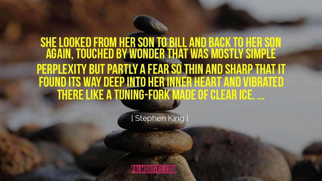 Perplexity quotes by Stephen King