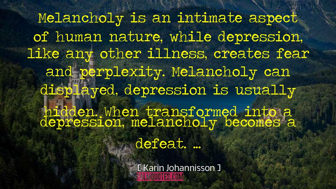 Perplexity quotes by Karin Johannisson