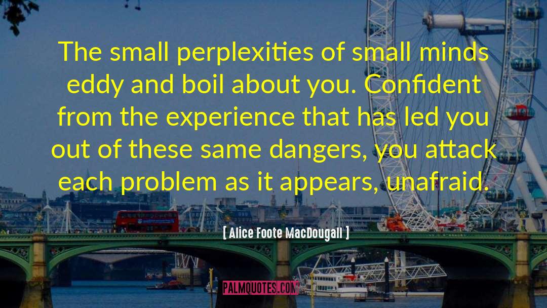 Perplexity quotes by Alice Foote MacDougall