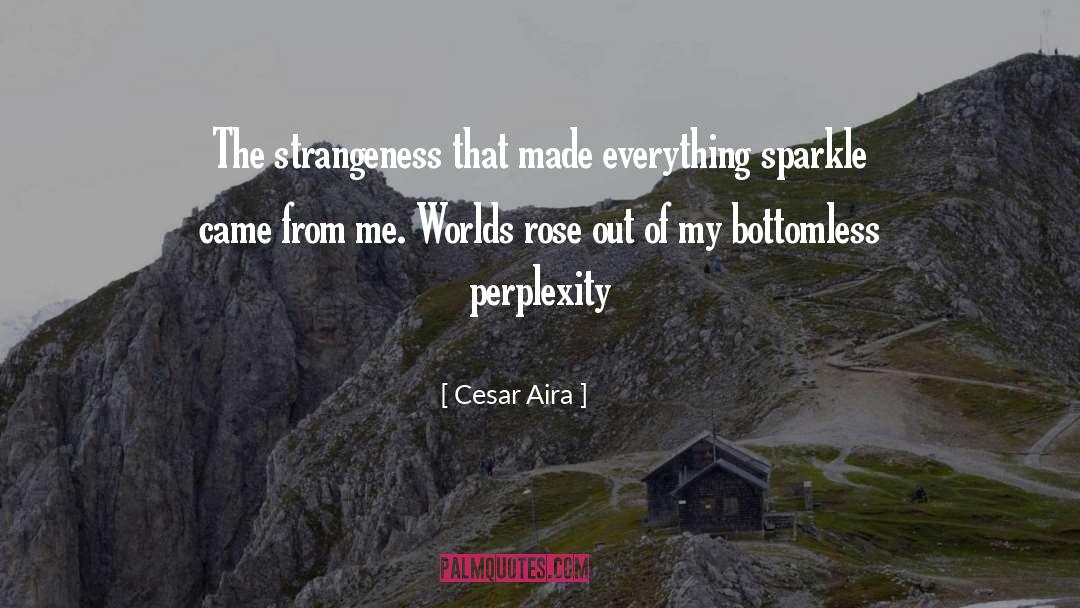 Perplexity quotes by Cesar Aira