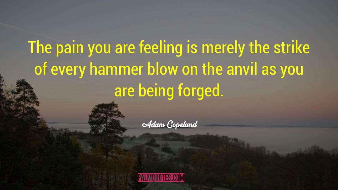 Perserverance quotes by Adam Copeland