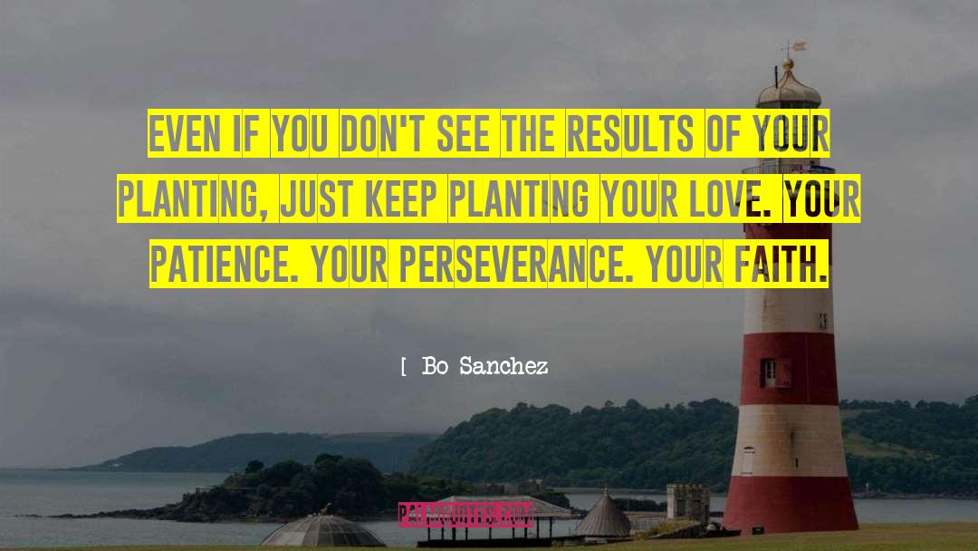 Perseverance Faith quotes by Bo Sanchez