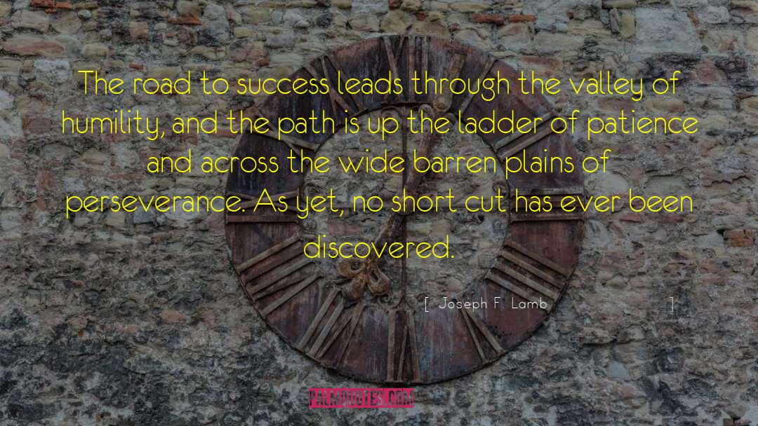 Perseverance Success quotes by Joseph F. Lamb