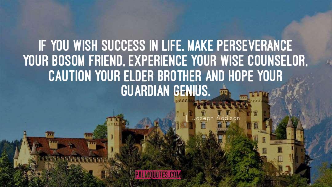 Perseverance Success quotes by Joseph Addison