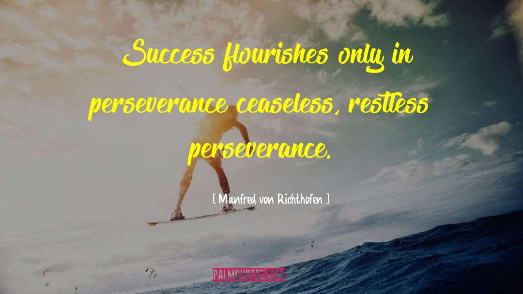 Perseverance Success quotes by Manfred Von Richthofen