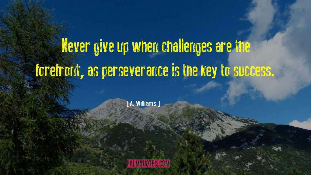 Perseverance Success quotes by A. Williams