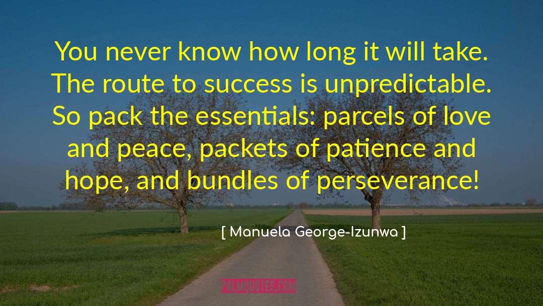 Perseverance Success quotes by Manuela George-Izunwa